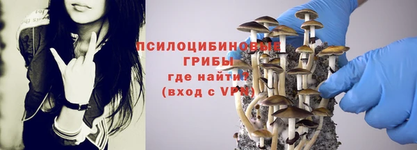 бутират Новозыбков