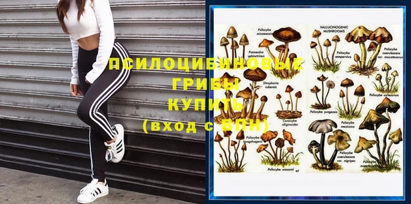кокаин Новодвинск