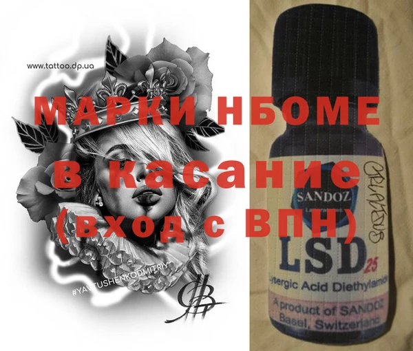 дживик Няндома