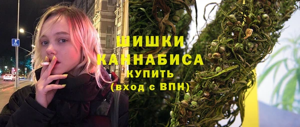 дживик Няндома