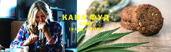 дживик Няндома