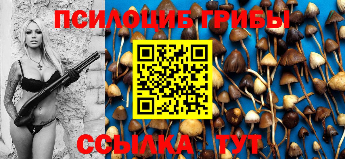 Псилоцибиновые грибы GOLDEN TEACHER Балтийск