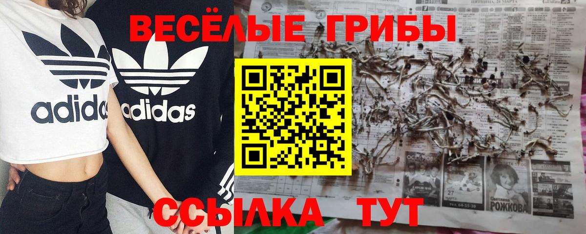 Галлюциногенные грибы Magic Shrooms  Галлюциногенные грибы MAGIC MUSHROOMS  Балтийск 