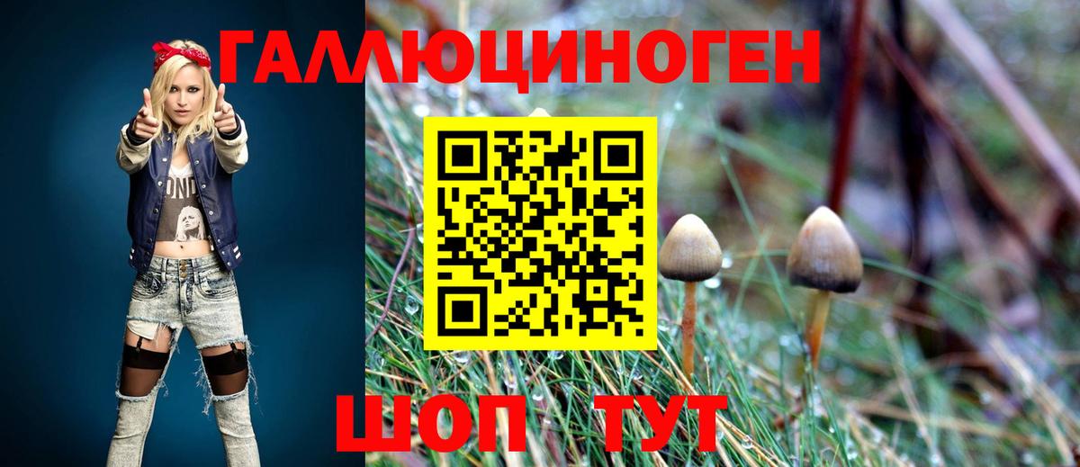 Балтийск  Галлюциногенные грибы Cubensis  Вход с VPN 