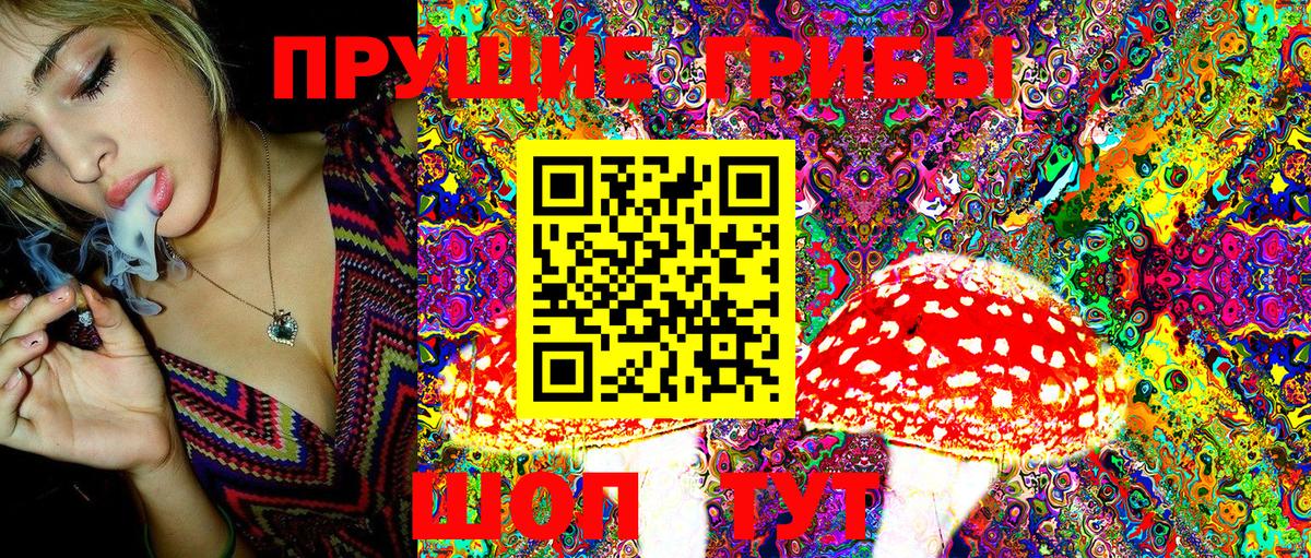 Псилоцибиновые грибы Magic Shrooms Балтийск