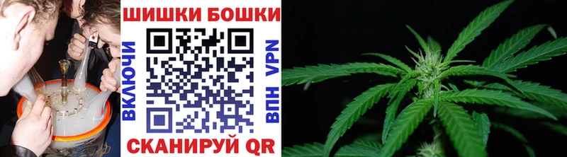 где купить наркотик  Балтийск  Бошки Шишки ГИДРОПОН 
