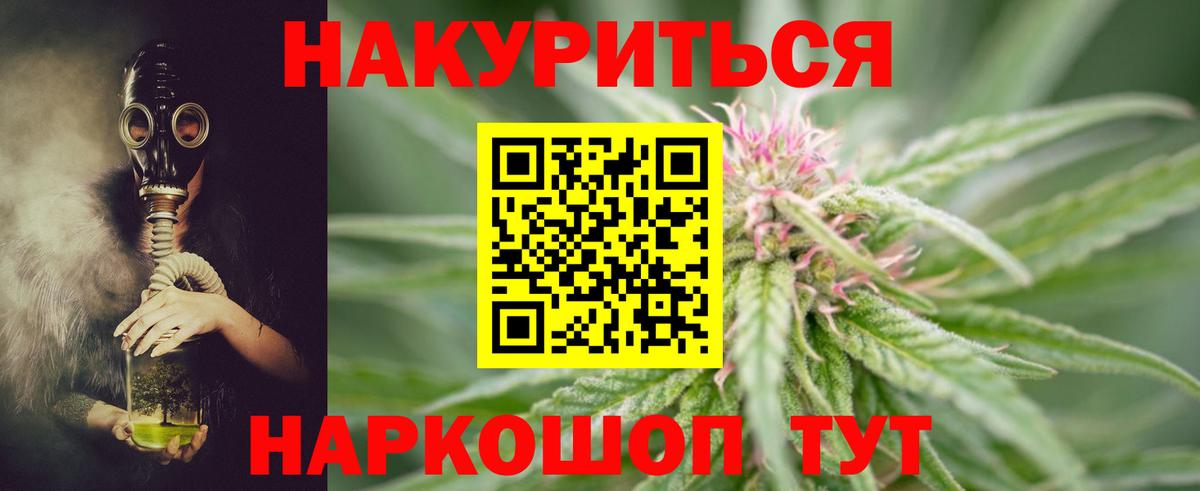 Канабис марихуана  Конопля тримм  Балтийск  Марихуана планчик 